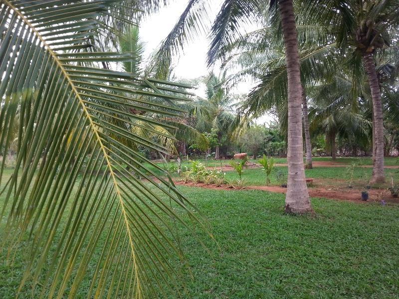 Serenity Lake Resort Yala ทิซซามาฮารามา ภายนอก รูปภาพ