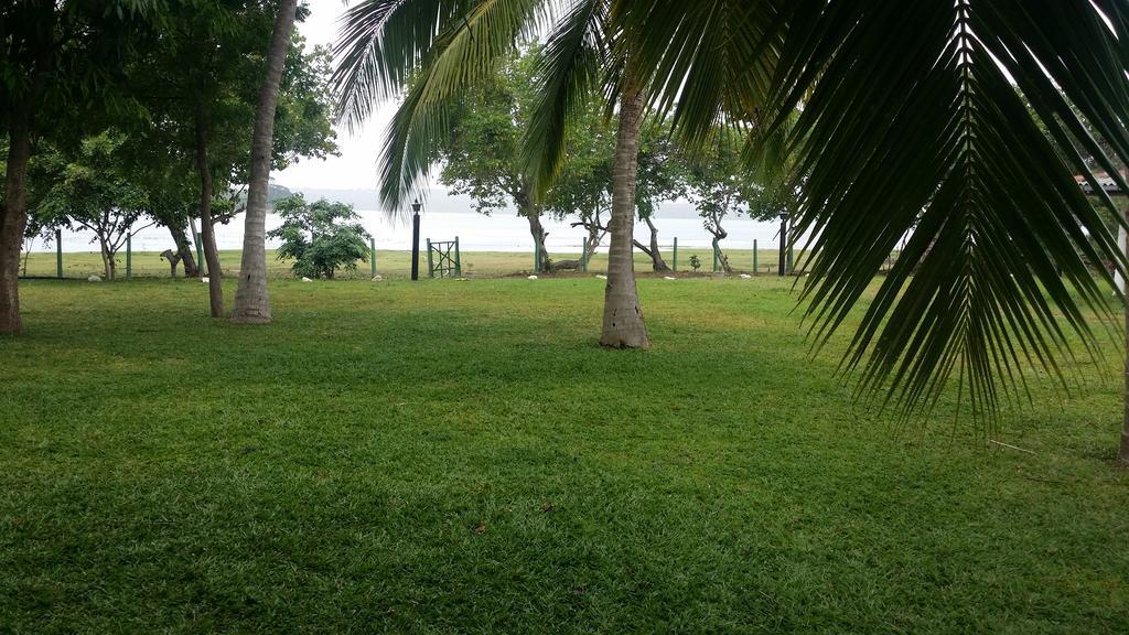 Serenity Lake Resort Yala ทิซซามาฮารามา ภายนอก รูปภาพ