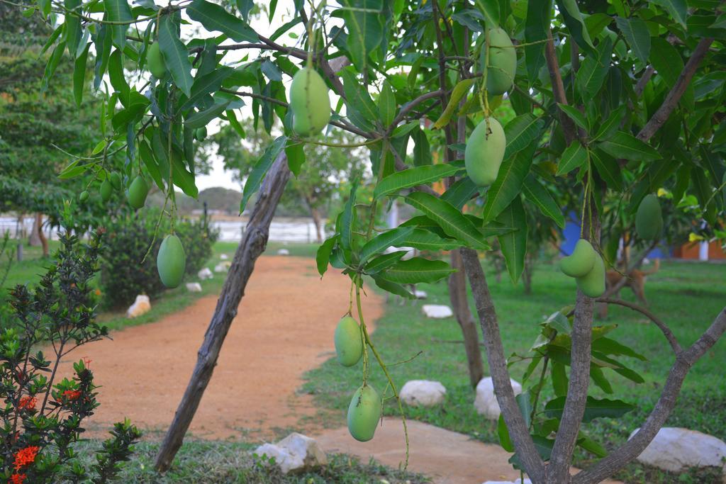 Serenity Lake Resort Yala ทิซซามาฮารามา ภายนอก รูปภาพ