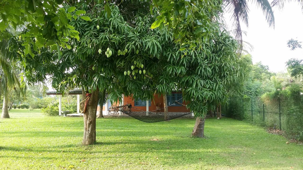 Serenity Lake Resort Yala ทิซซามาฮารามา ภายนอก รูปภาพ